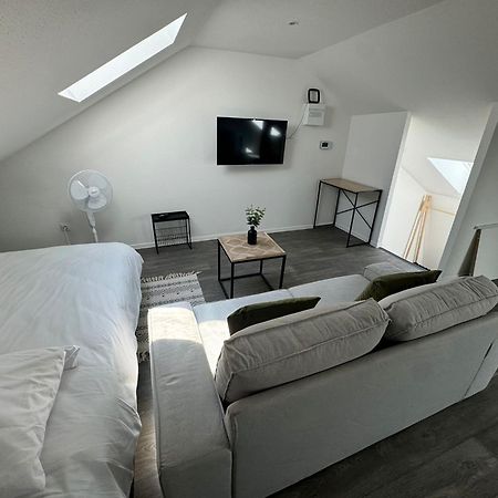 Studio Eucalyptus Charmant Elegant Et Fonctionnel Centre Ville Mulhouse Luaran gambar