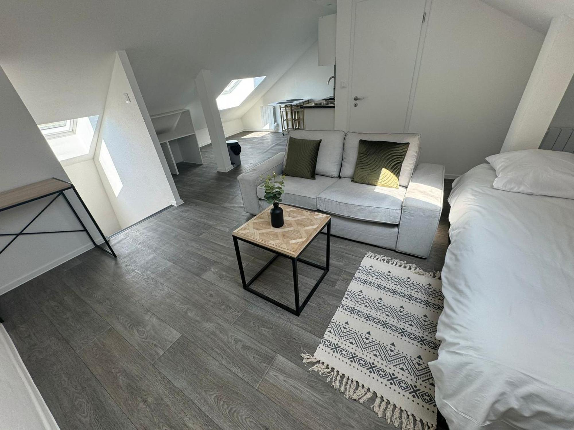 Studio Eucalyptus Charmant Elegant Et Fonctionnel Centre Ville Mulhouse Luaran gambar